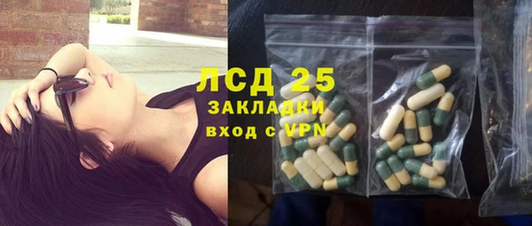 сатива Алзамай