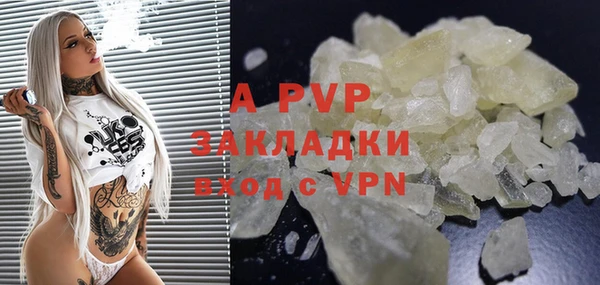 сатива Алзамай