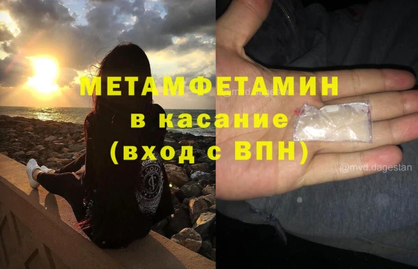 сатива Алзамай