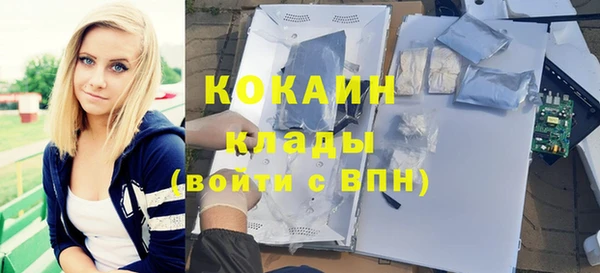 сатива Алзамай